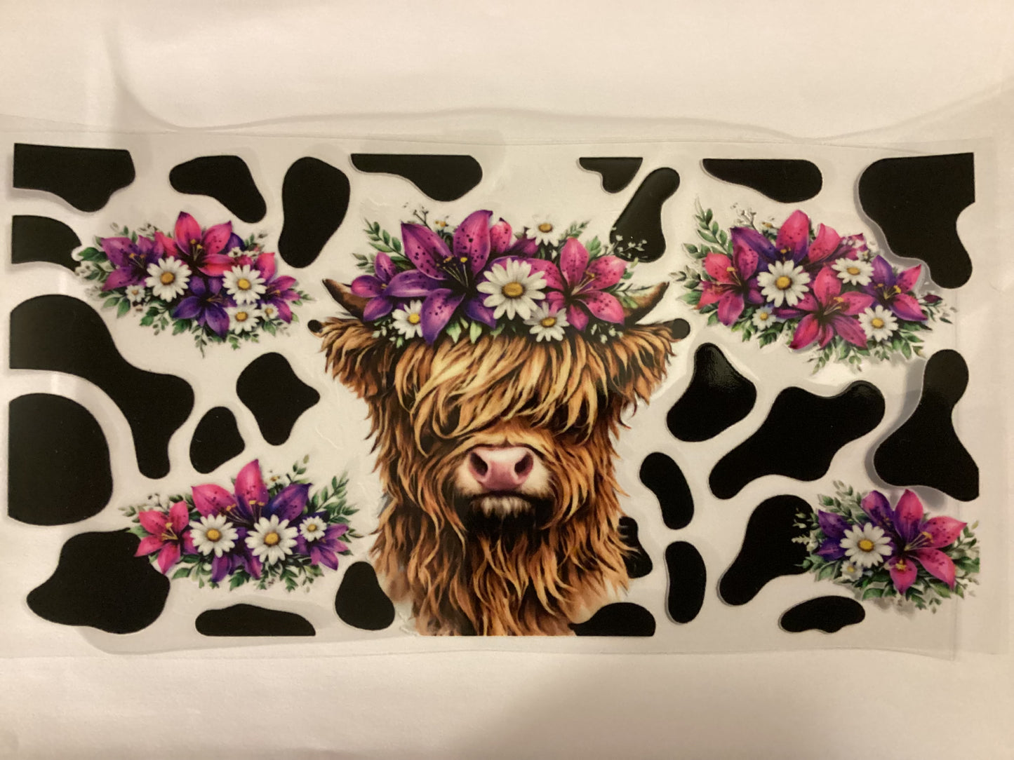 Cows