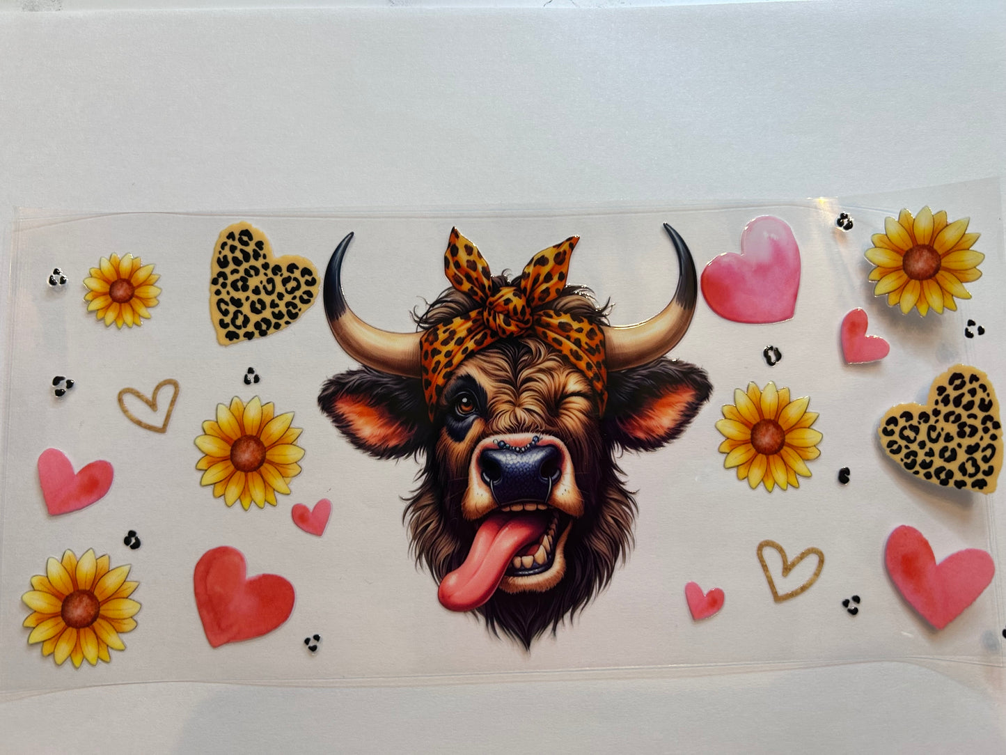 Cows