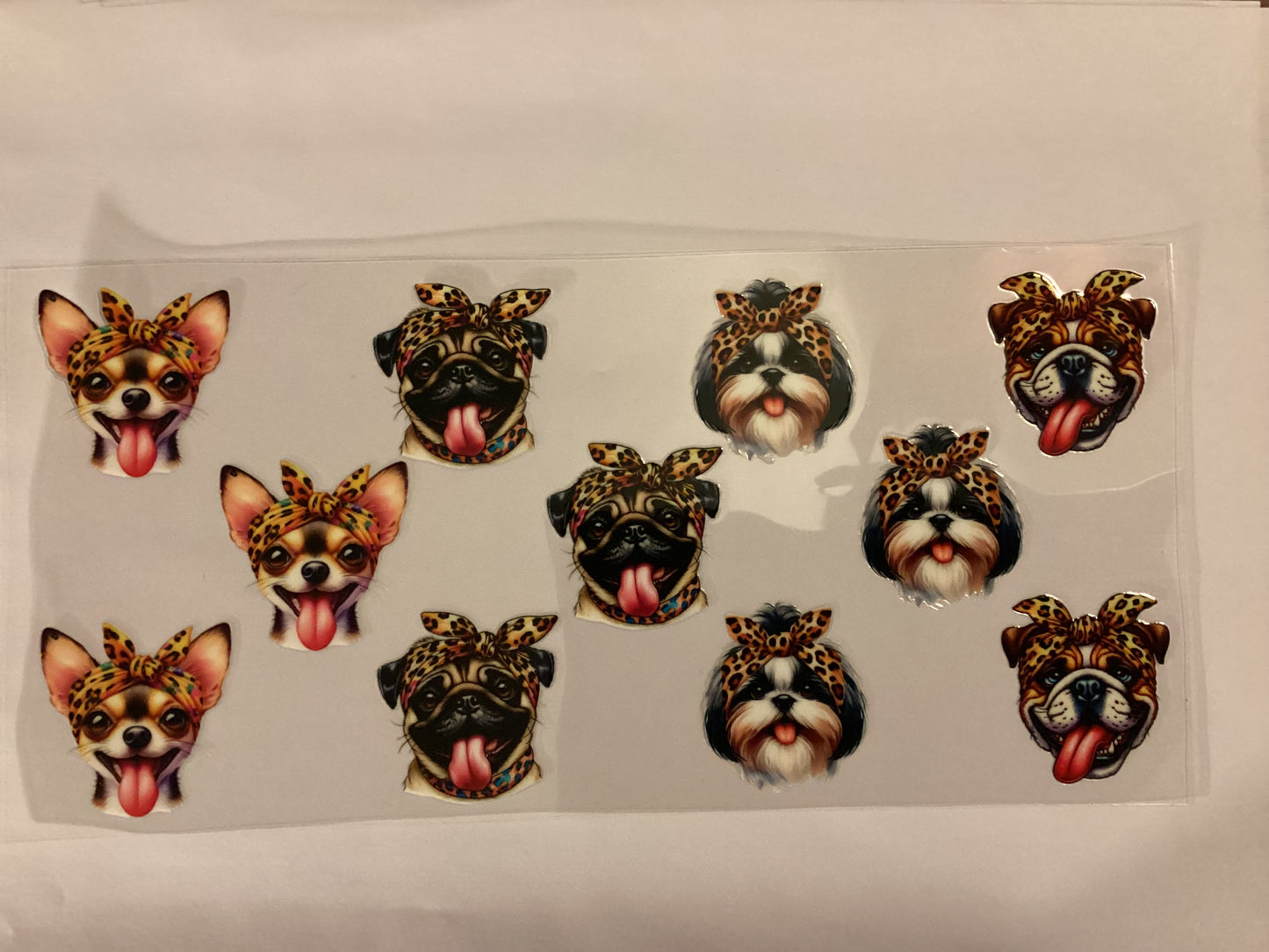 Dogs