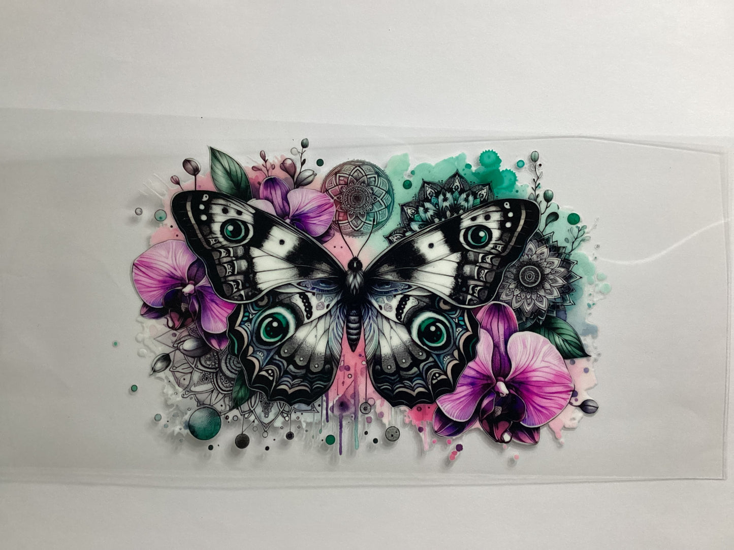 Butterflies