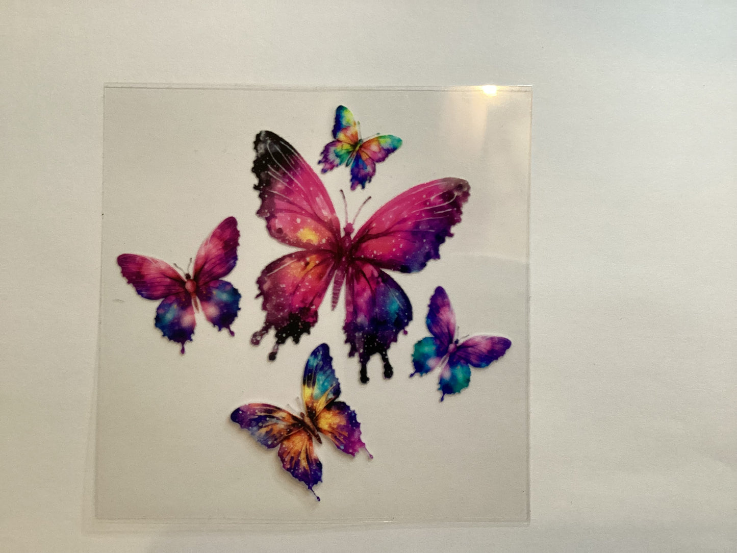 Butterflies
