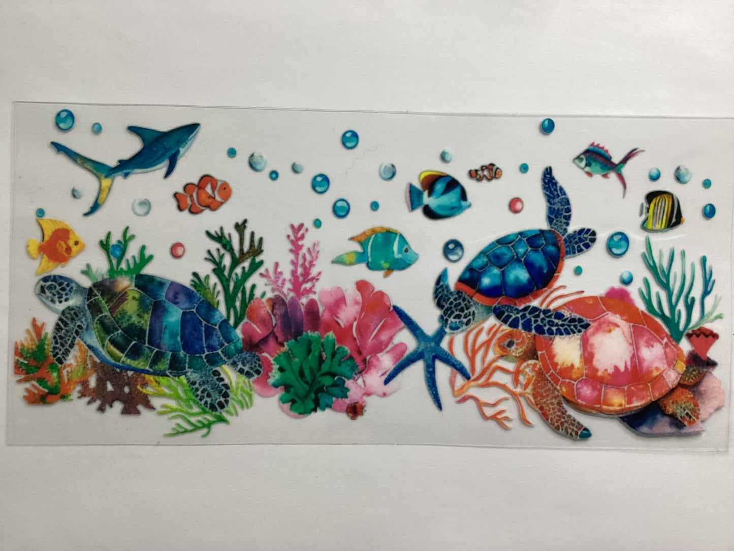 Sea life