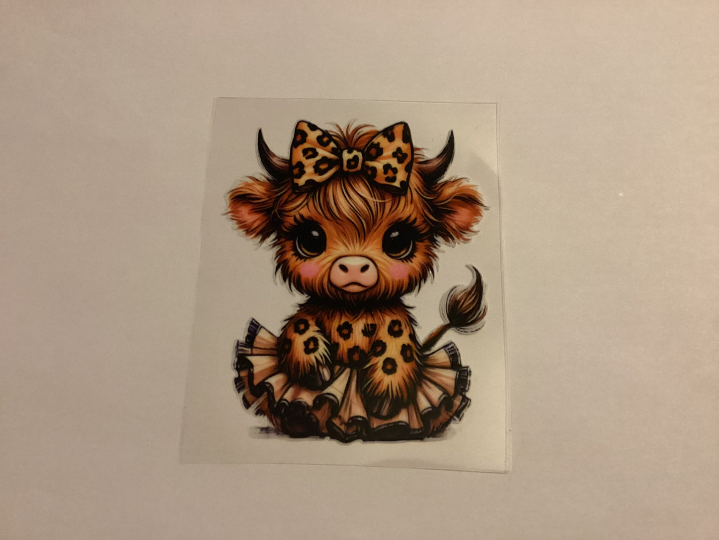Cows