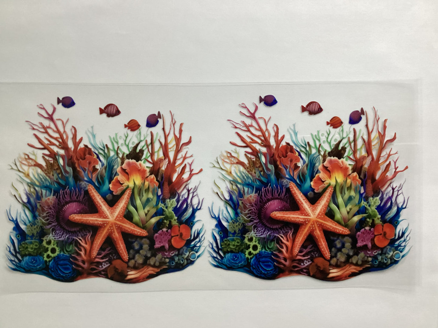 Coral