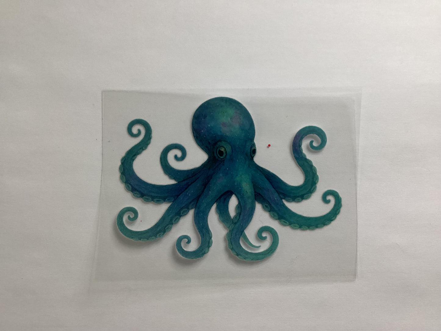 Octopus