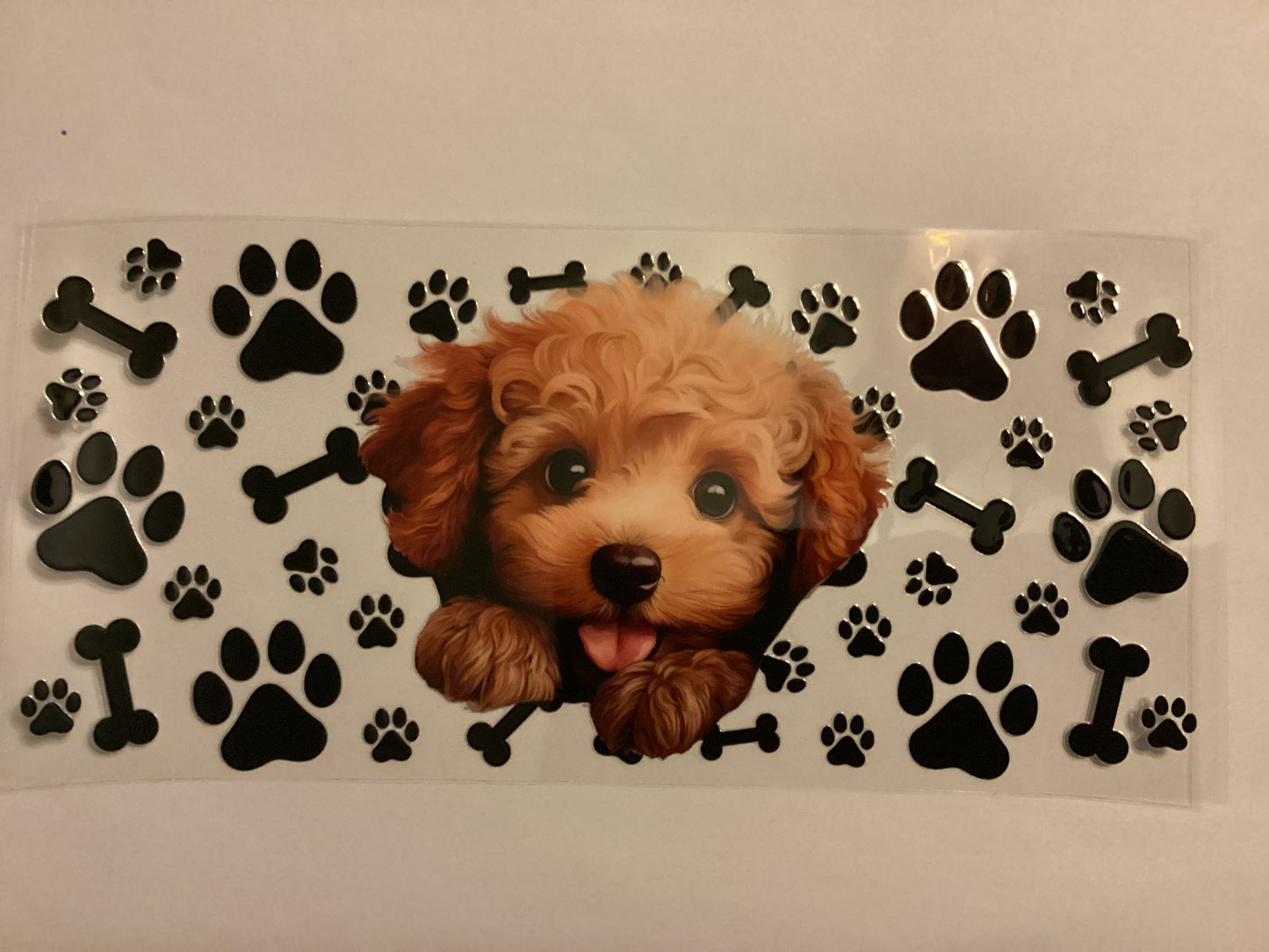 Puppy