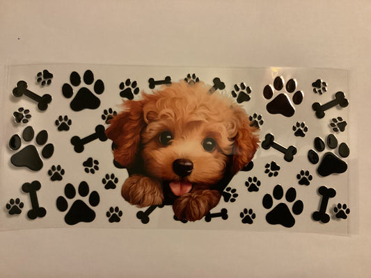 Puppy