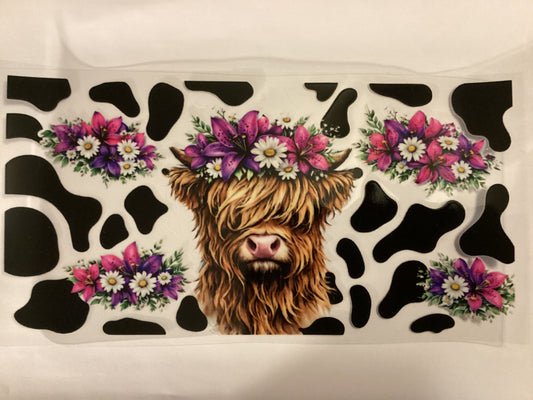 Cows