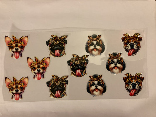Dogs