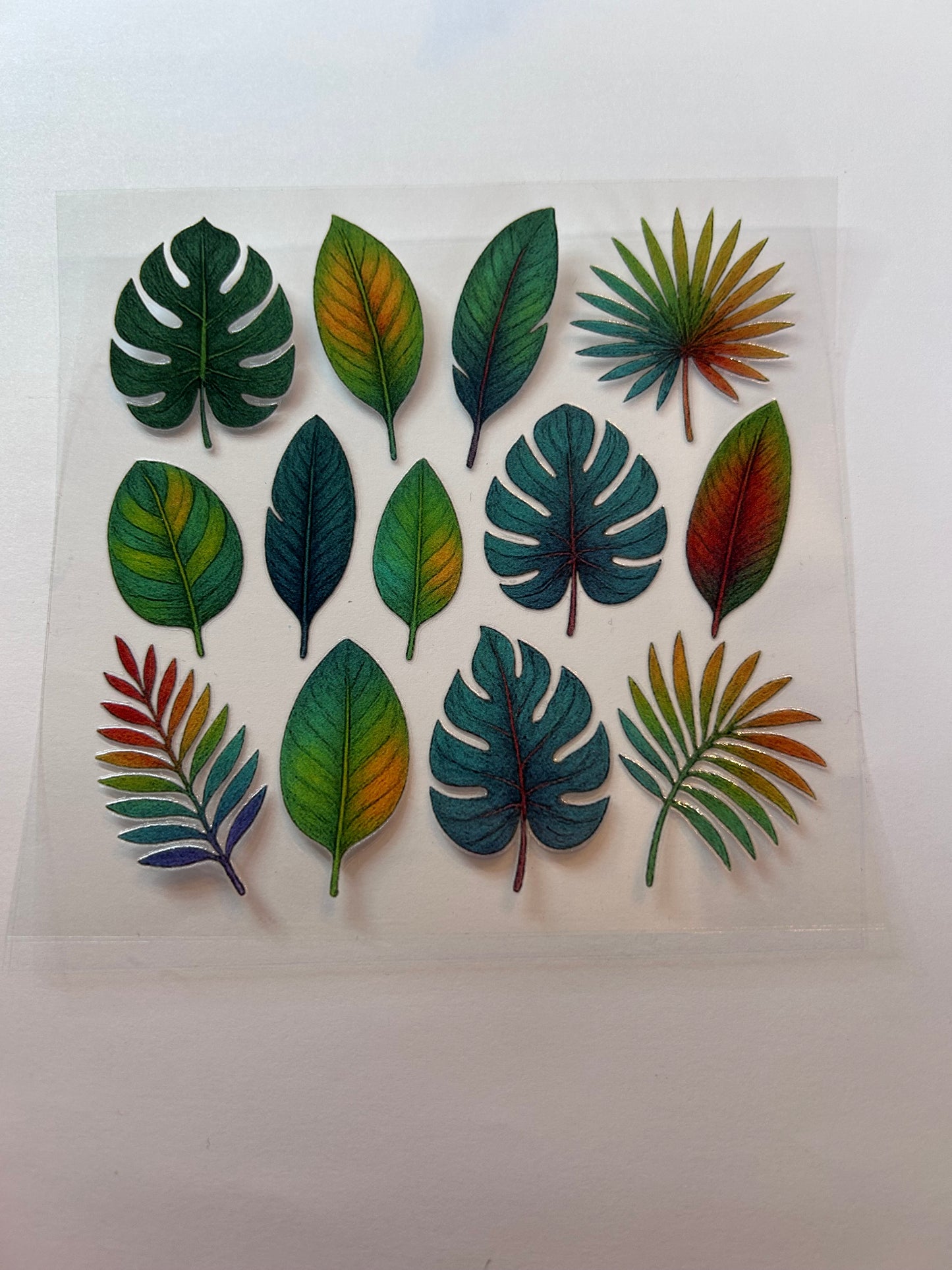 Tropical leaves