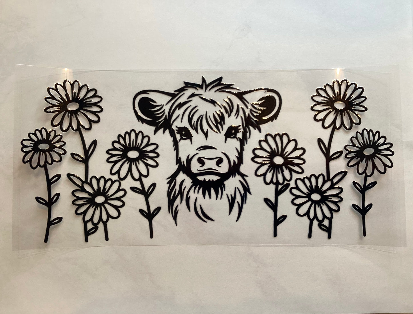 Cows
