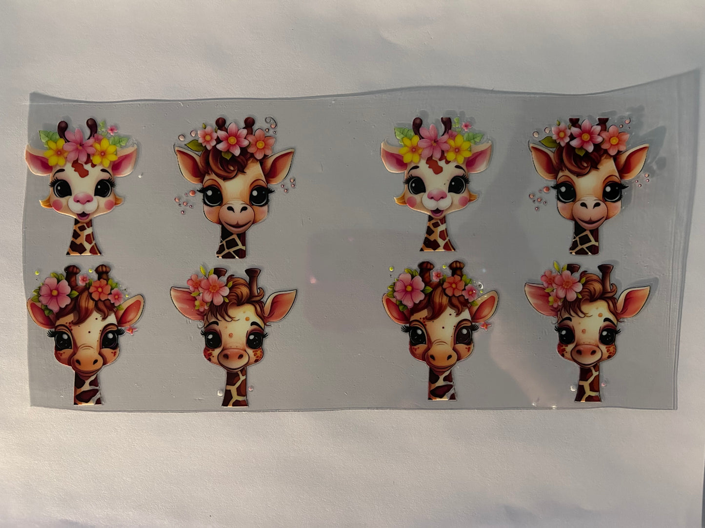 Giraffes