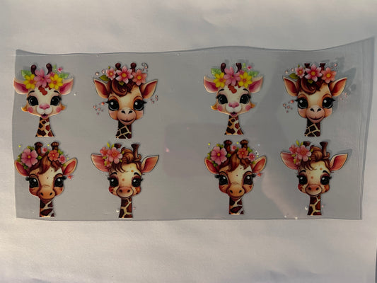 Giraffes