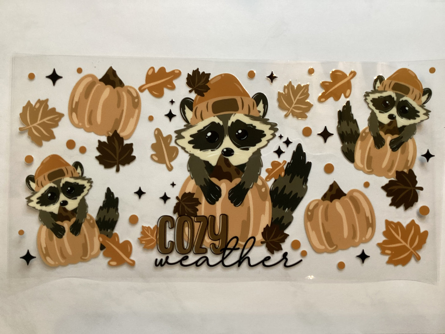 Fall raccoon