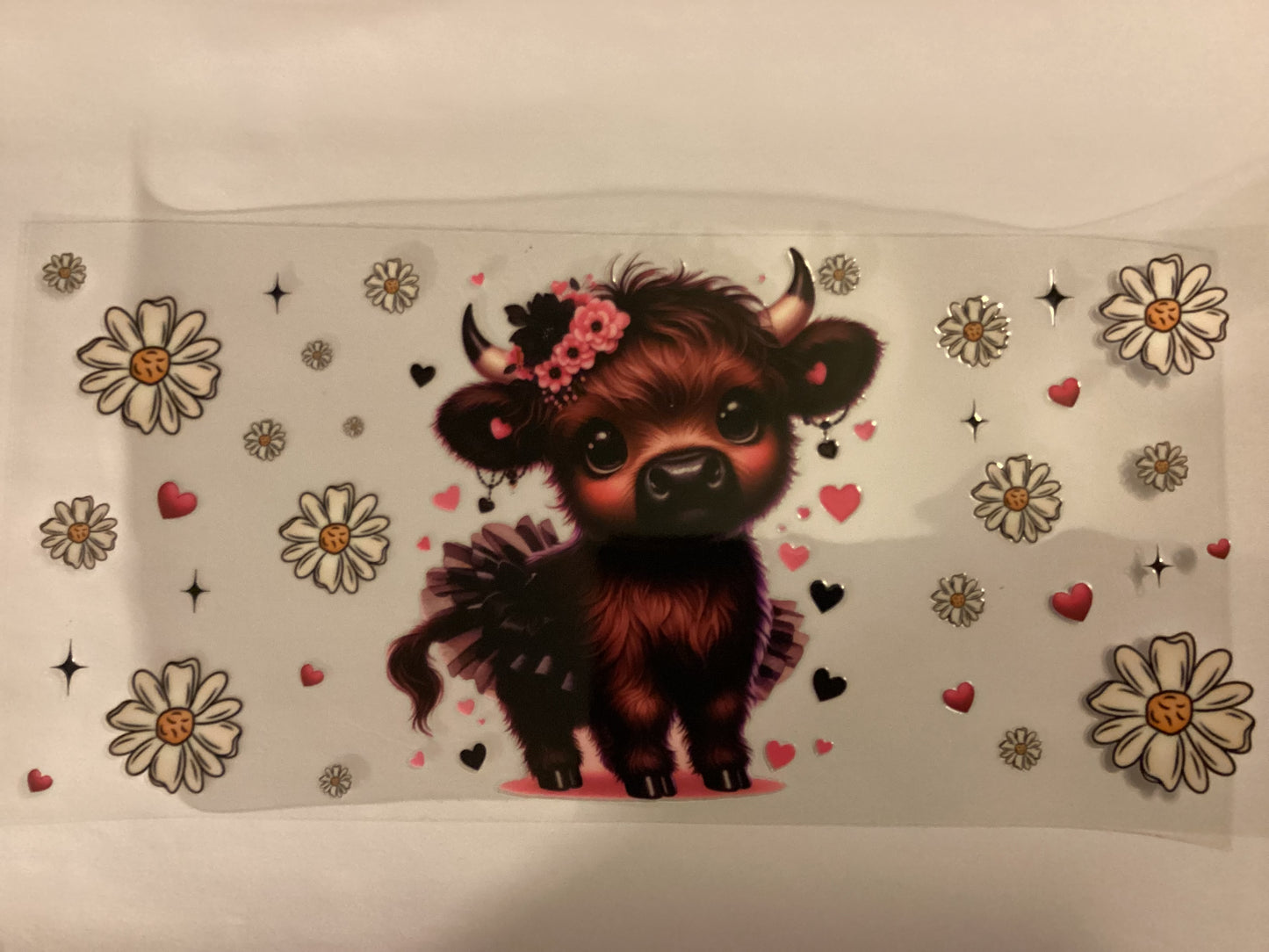 Cows
