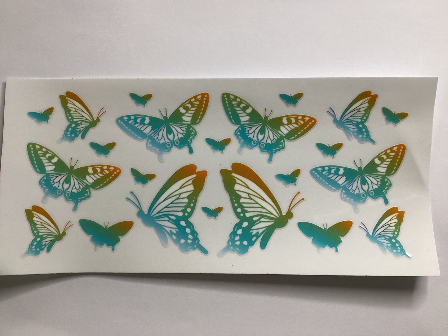 Butterflies
