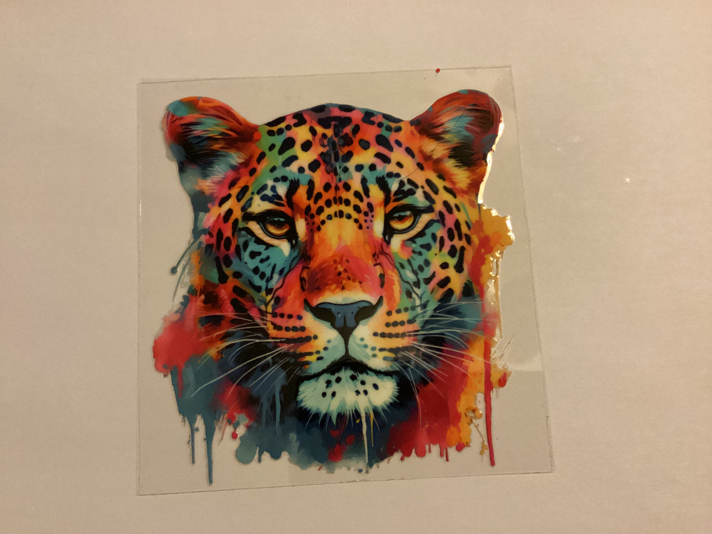 Cheetah