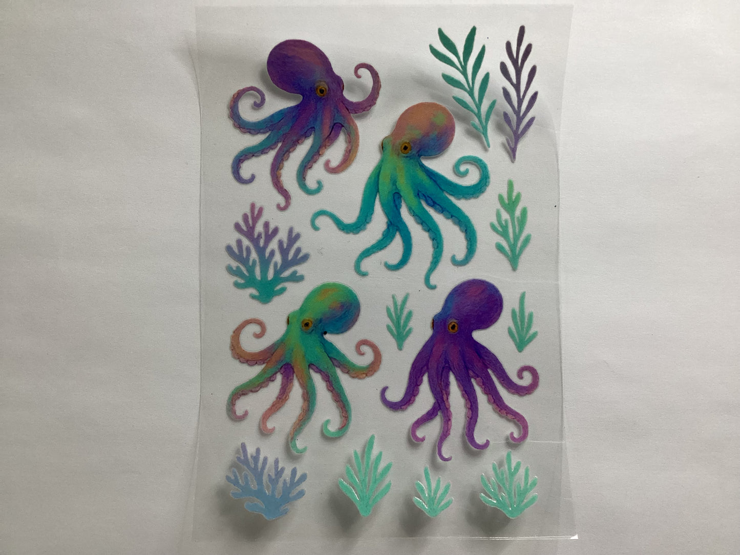 Octopus