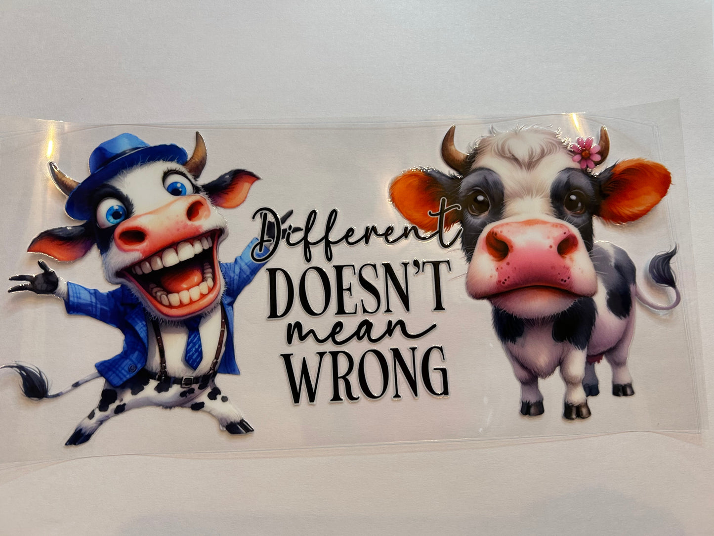 Cows