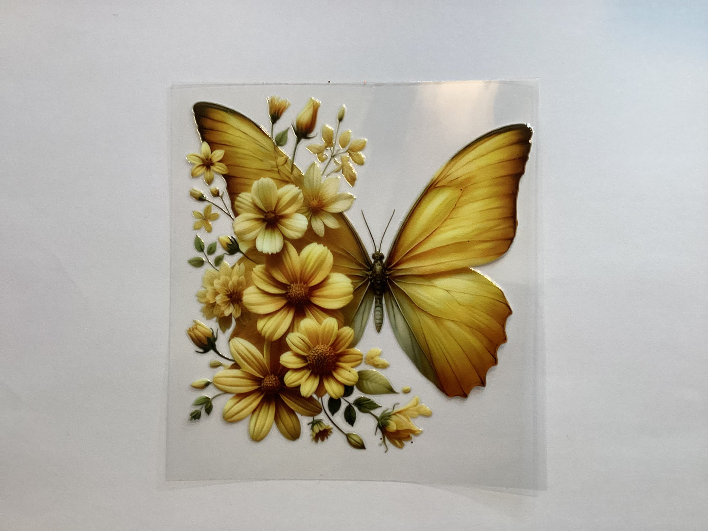 Butterflies