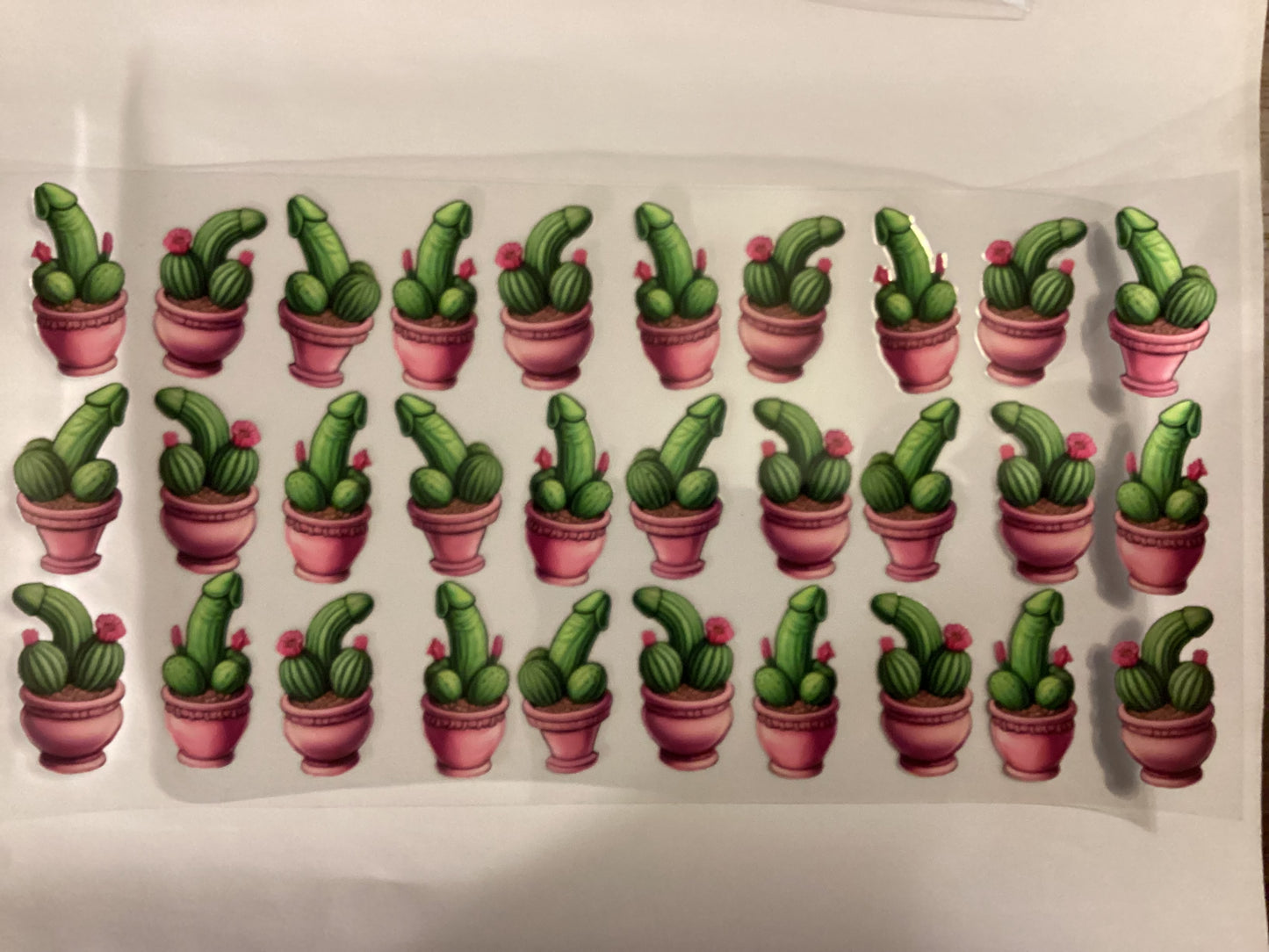 Cactus peens