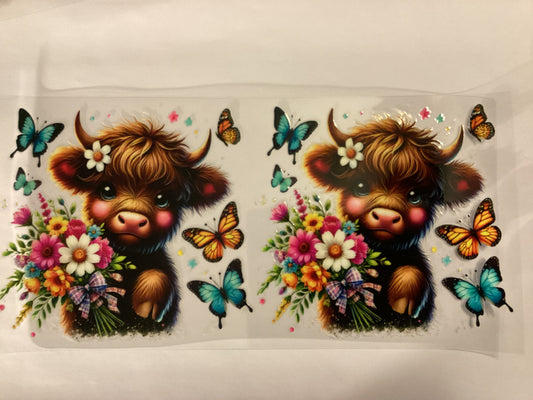 Cows