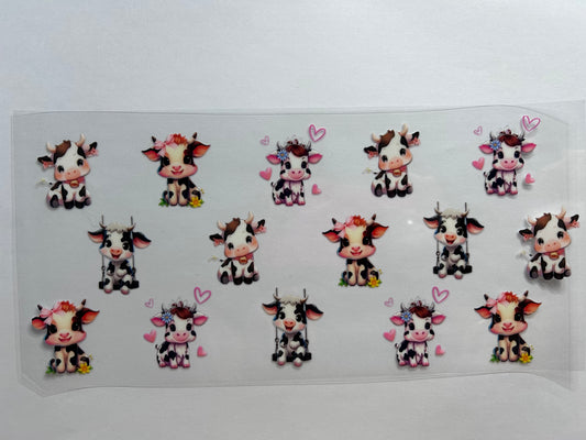 Cows