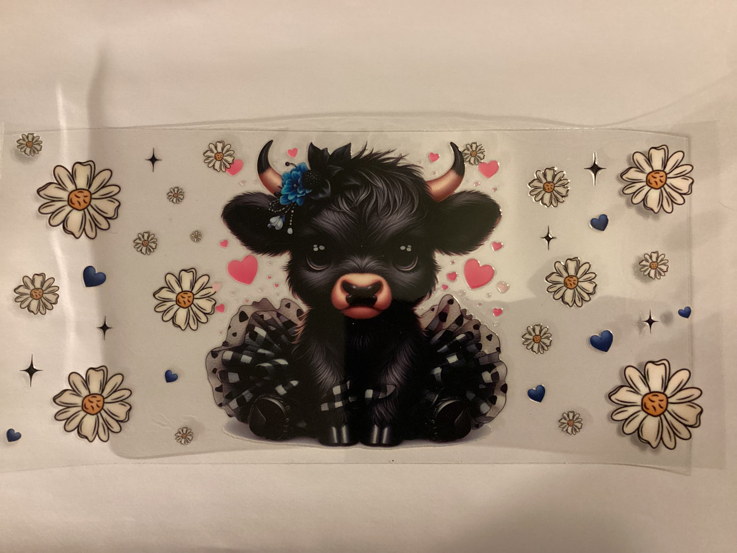 Cows