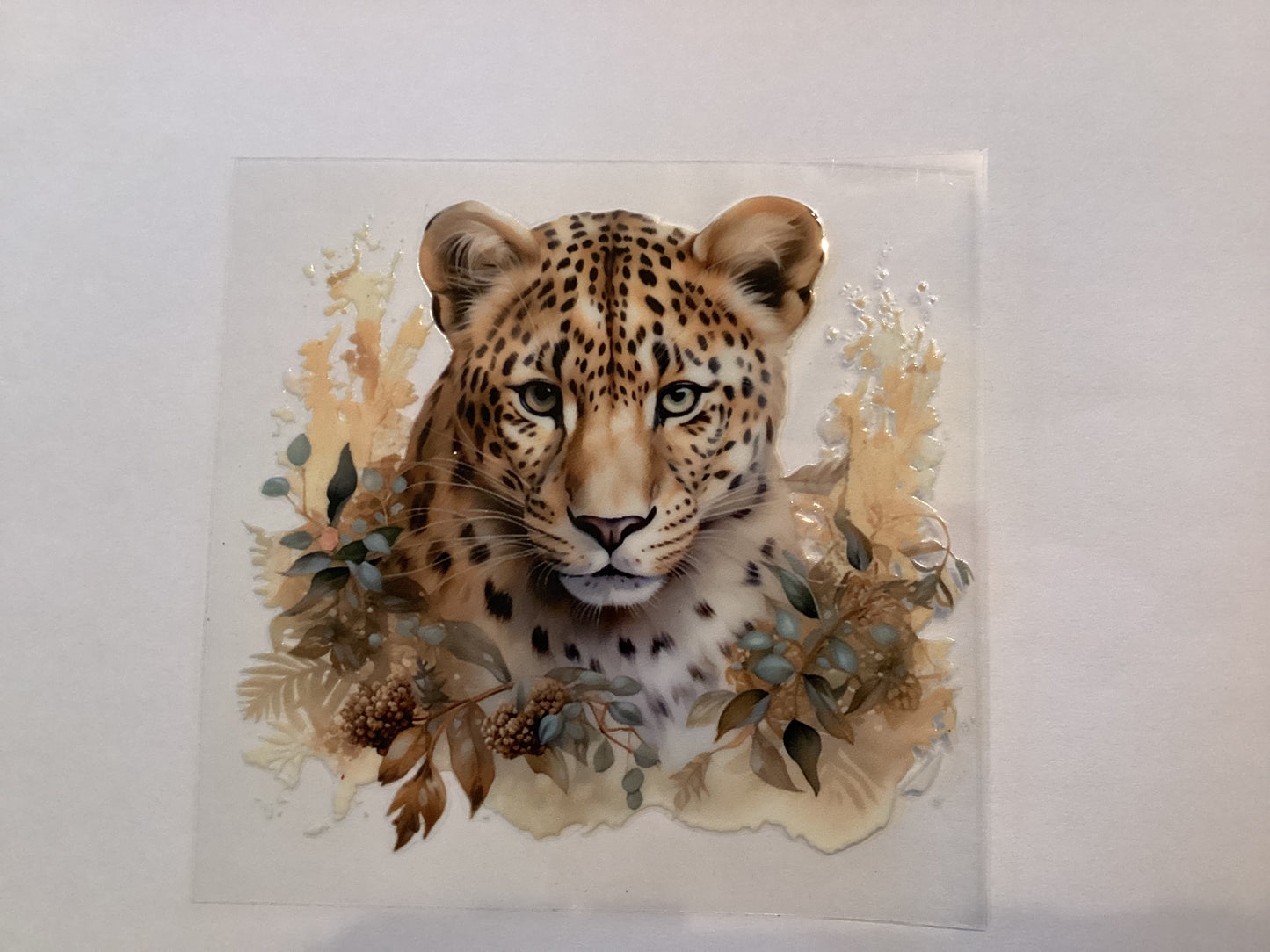 Cheetah